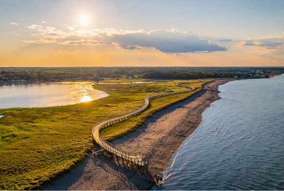 Acadian Shores Road Trip
