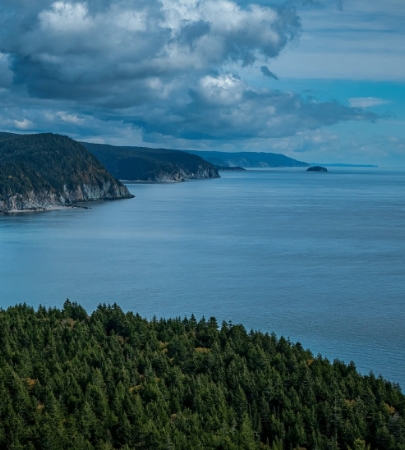 fundy bay