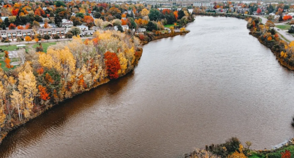 lake during fall