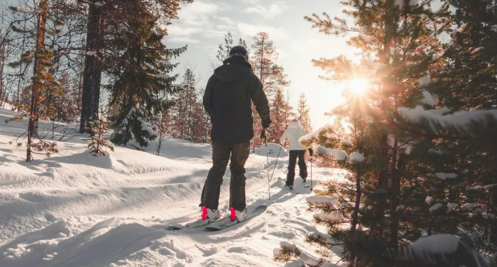 Winter Trails