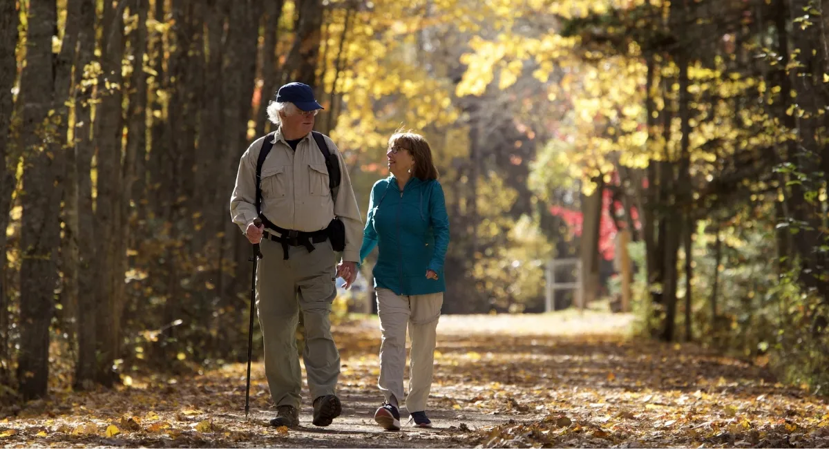 two people walking in forest