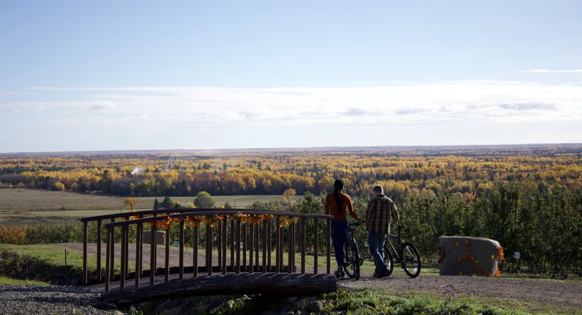 Couple taking a break from biking on a trail